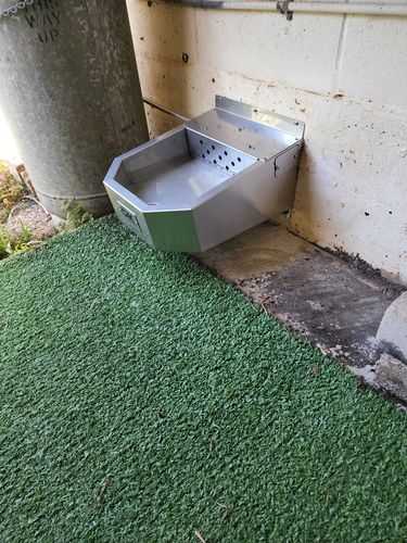Customer photo review of Pet Rehydration Station