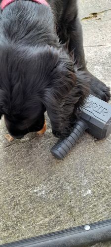 Customer photo review of The Fenrir Hammer