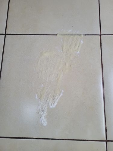 Customer photo review of Paquete Peludos - Membresía  - 2 Piezas de 850 grs + Envío GRATIS