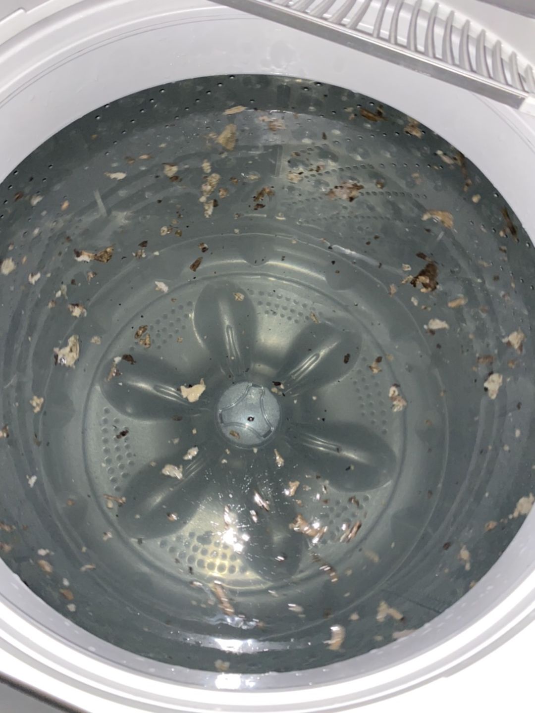 Customer photo review of Capsule Washer Cleaner