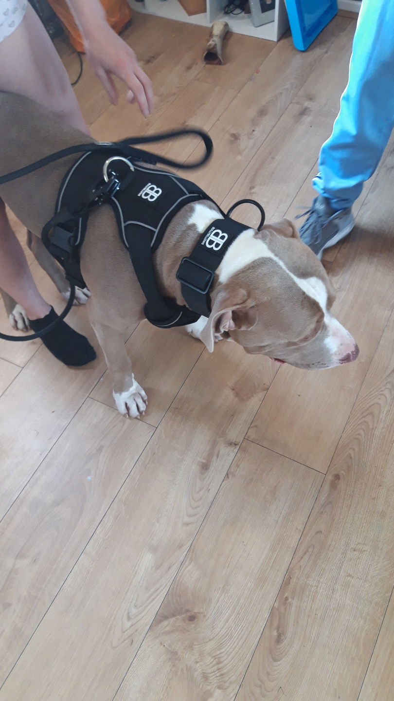 Customer photo review of 5cm Combat Billowthane® Collar | Waterproof & Anti-Rust - Black