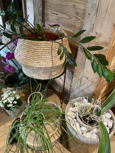 Customer photo review of Mon petit oiseau - Le Jardin de Mamie®