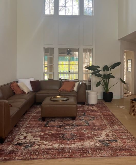 Customer photo review of Distressed Vintage Cezanne Terracotta Area Rug