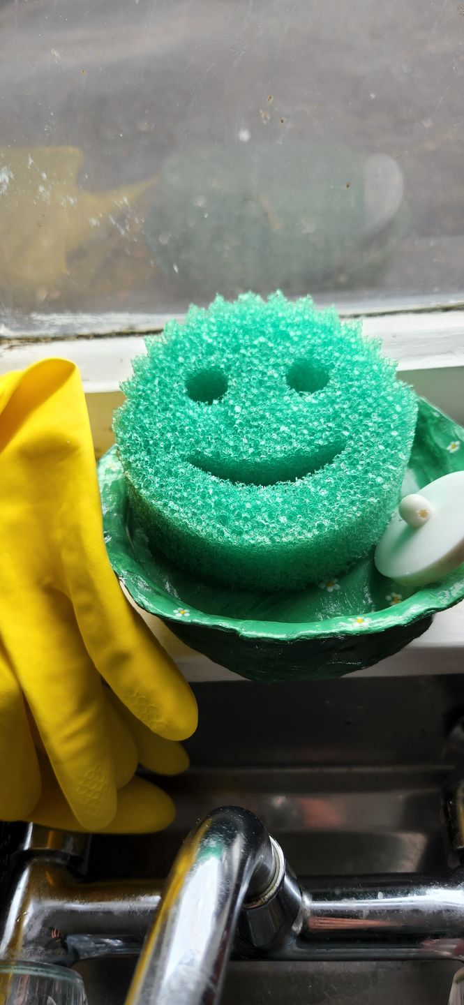 Customer photo review of Scrub Daddy 3 Pack