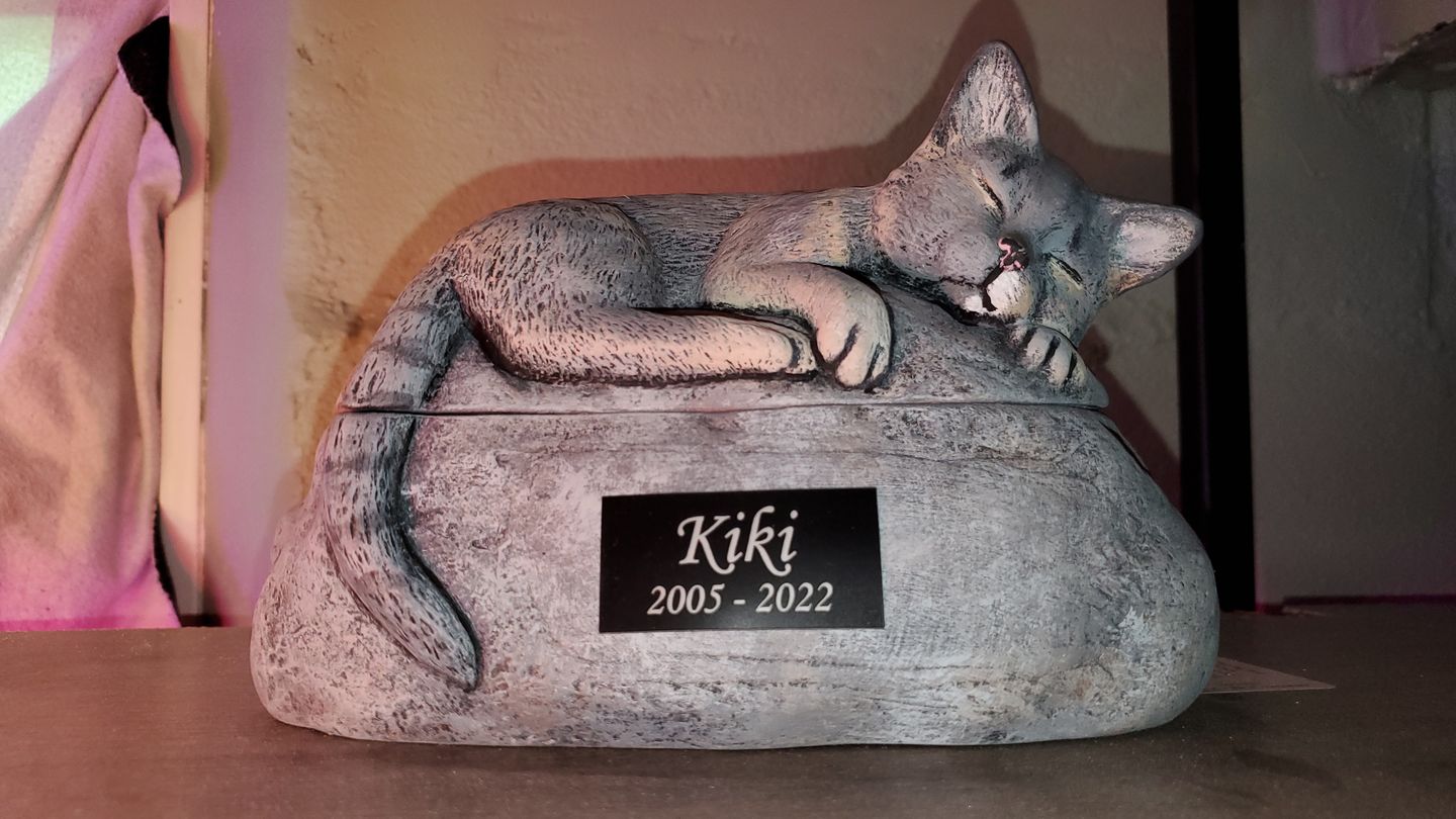 Customer photo review of Short Haired Custom Painted Ceramic Cat Urn - No Wings