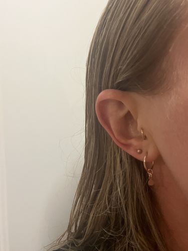Customer photo review of Tiny Disc Hoops