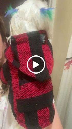 Customer video review of Playa Poncho - Surprise Color