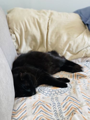 Customer photo review of Bohemia Cotton Blanket Throw