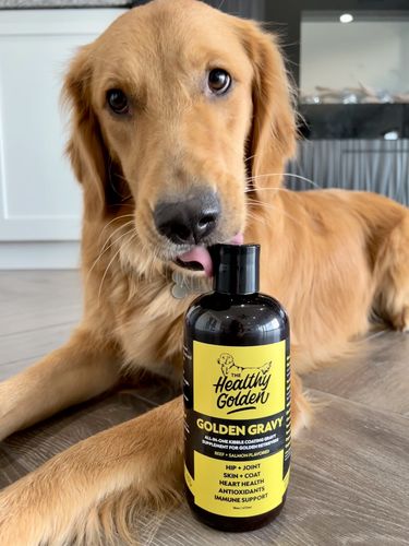 Customer photo review of Golden Gravy