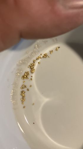 Customer photo review of Nugget Reserve 'MUSEUM SPECIMEN CHASE' - Gold Panning Paydirt Concentrate