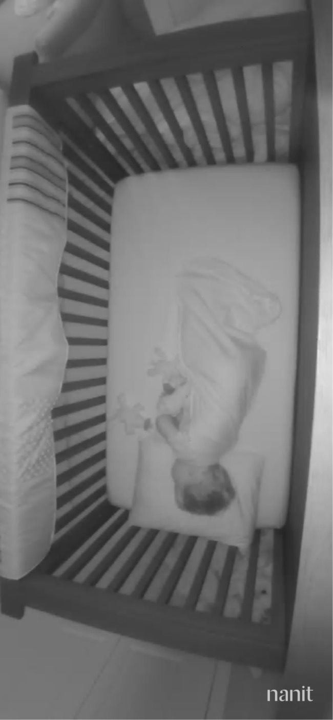 Customer photo review of Wool Pillow, Toddler and Kids, Size: 14"x19"