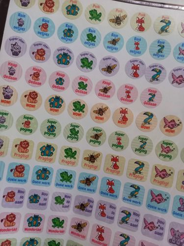 Customer photo review of Pastel Merit Labels