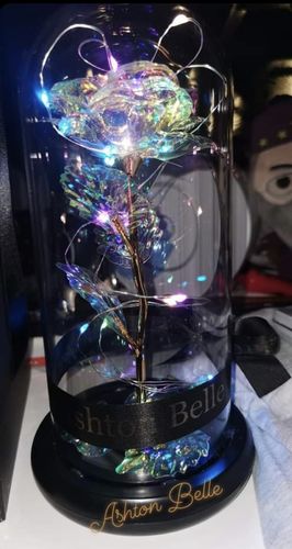 Customer photo review of Galaxy LED Rose Dome