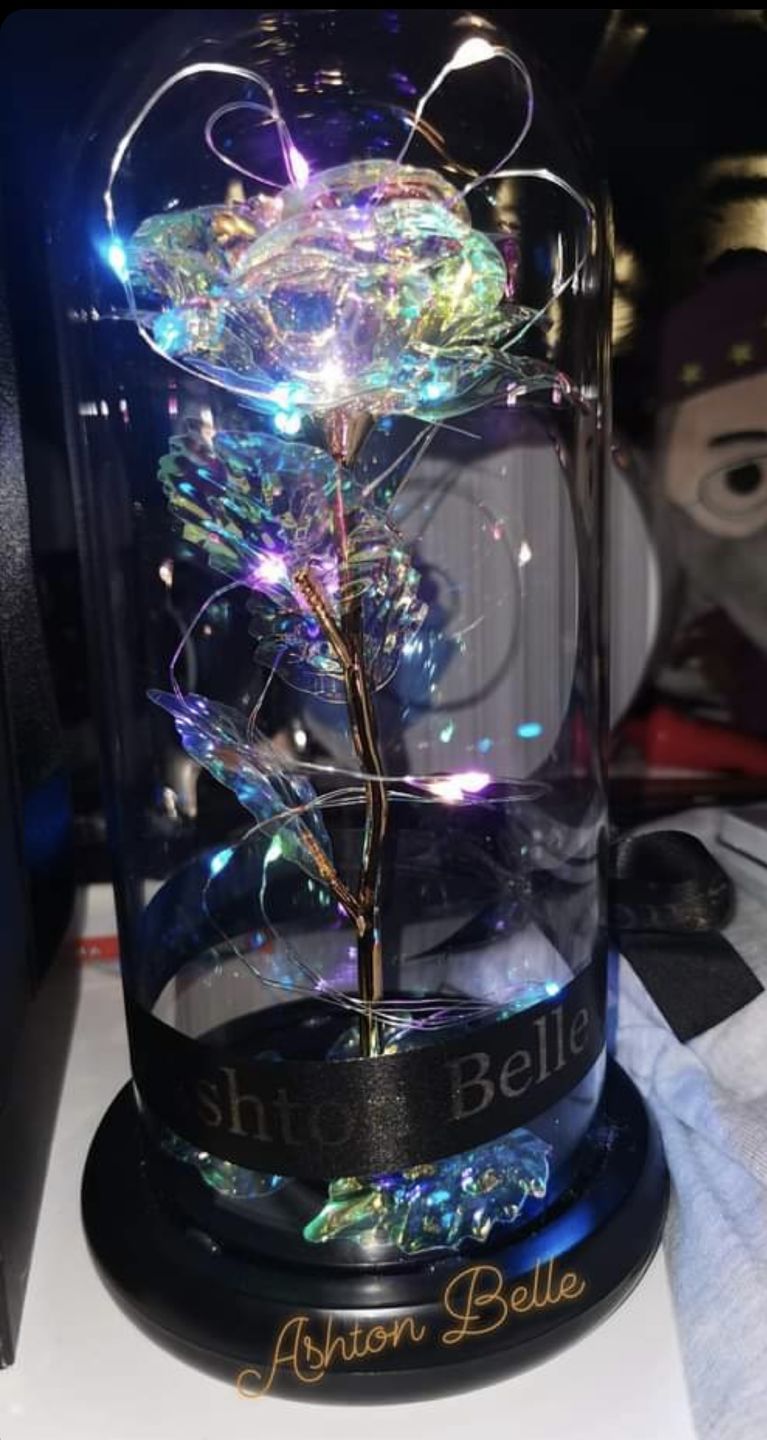 Customer photo review of Galaxy LED Rose Dome
