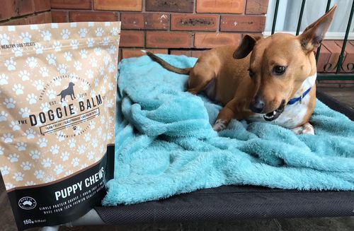 Customer photo review of Puppy Chews