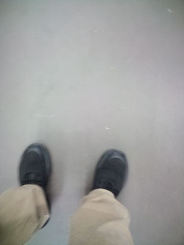 Customer photo review of Maven Unisex Comfortable Steel Toe Safety Sneakers