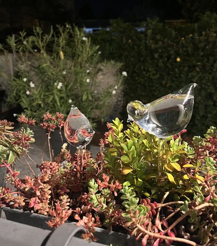 Customer photo review of Mon petit oiseau - Le Jardin de Mamie®