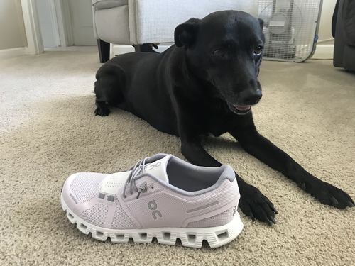 Customer photo review of ON RUNNING CLOUD 5