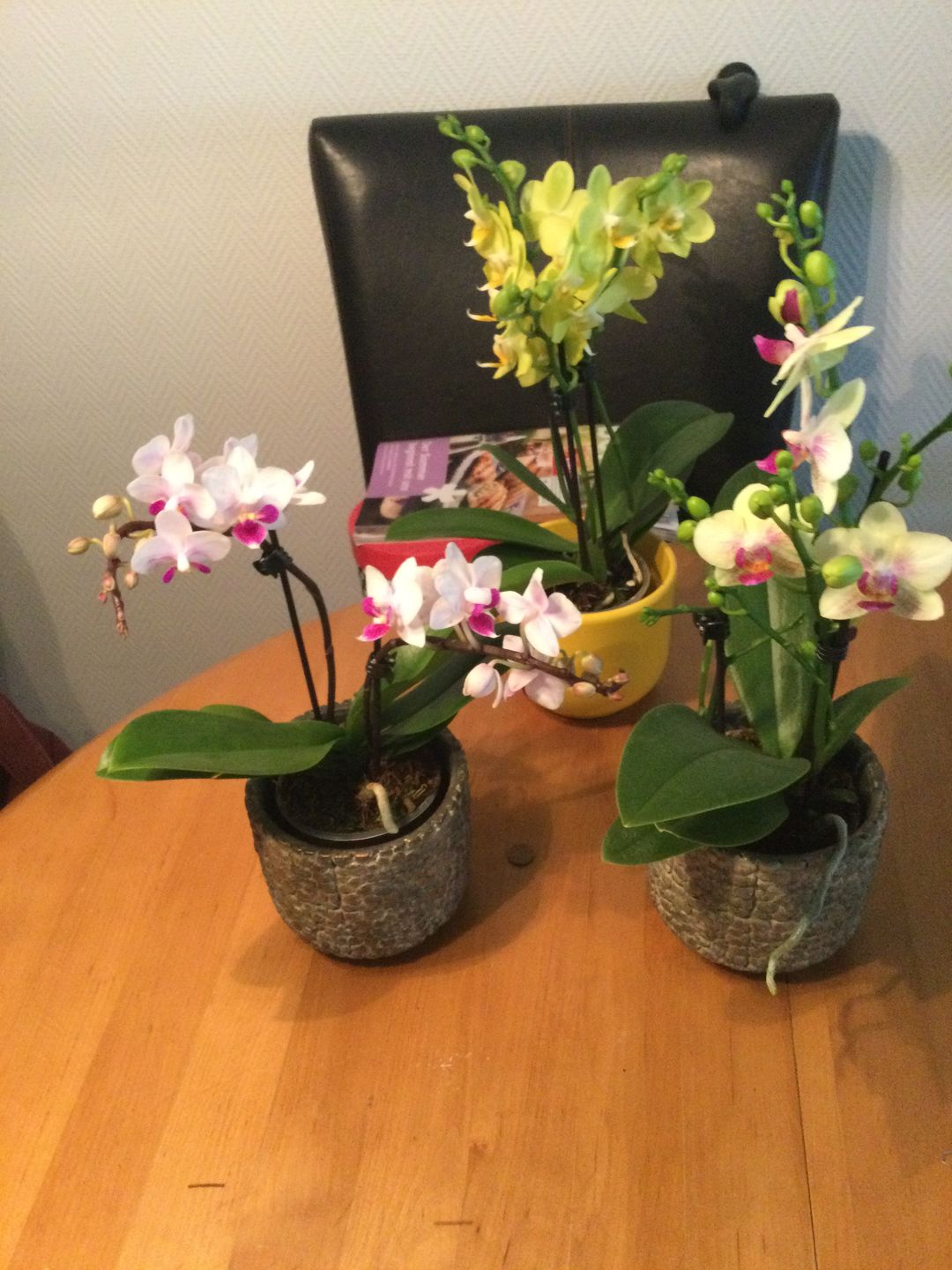 Customer photo review of Table Dance Linz mit weißen Blüten und lila Lippe und 2+ Stielen