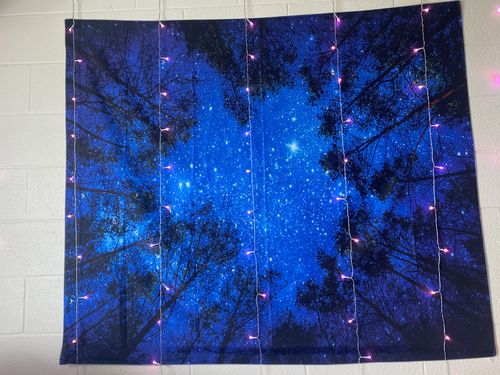 Customer photo review of Forest Starry Tapestry