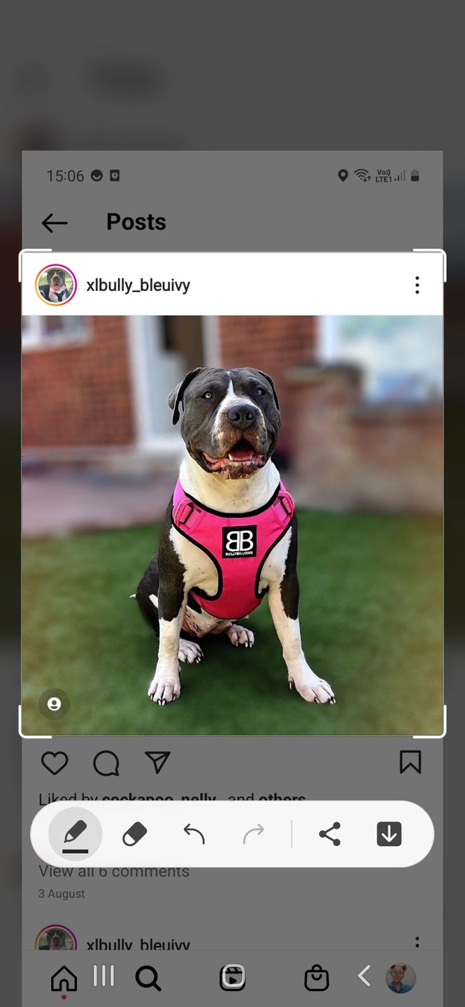 Customer photo review of Premium Comfort Harness | Non Restrictive & Adjustable - Magenta