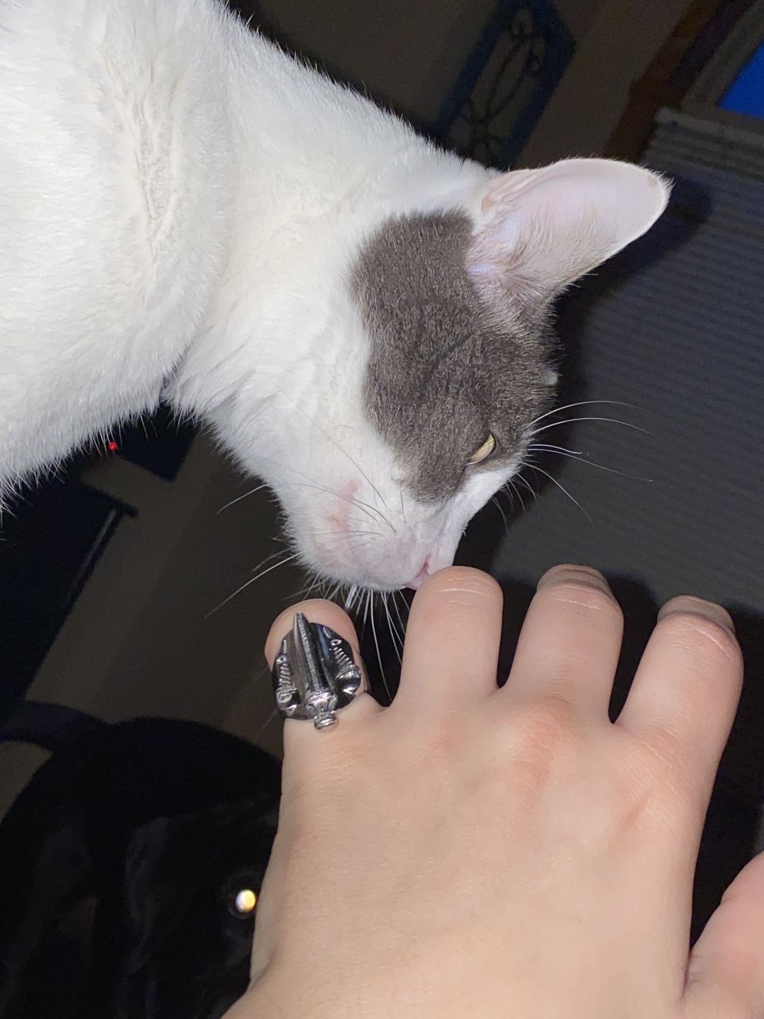 Customer photo review of CATACOMB SWORD RING