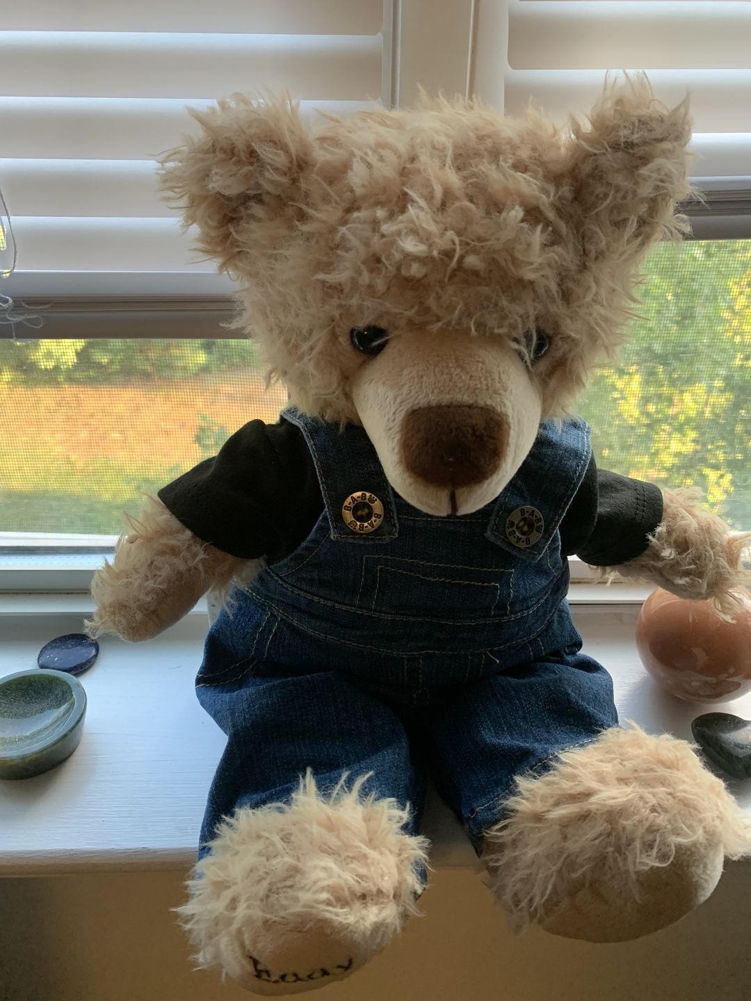 Customer photo review of Eddy The Teddy Bear