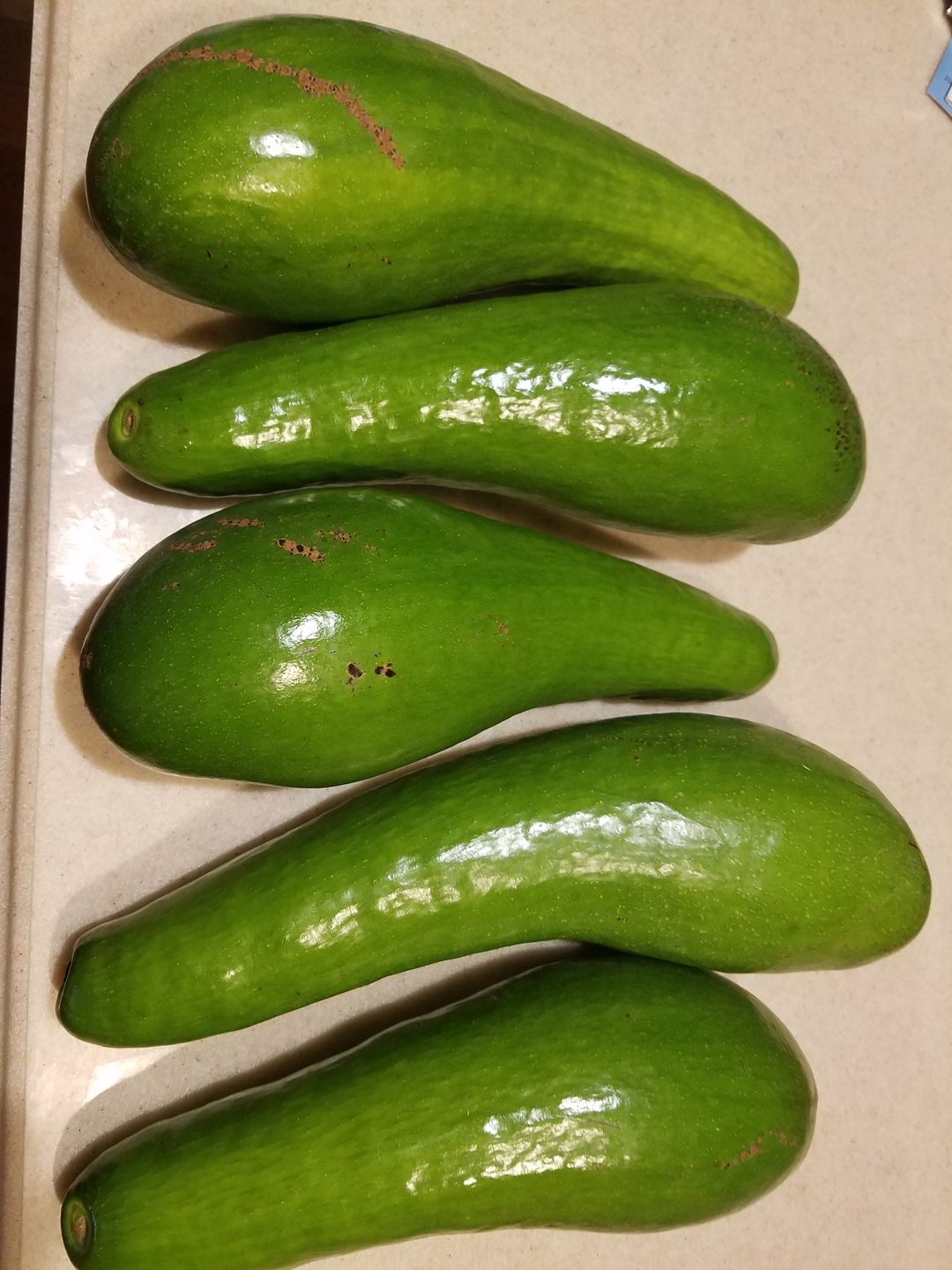 Customer photo review of Avocado Box