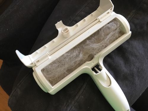 Customer photo review of Pet Hair Remover | Portable, Multi-Surface Lint Roller & Animal Fur Removal Tool