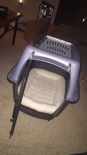 Customer photo review of Comfortable Bolster Pet Bed for Dogs & Cats | Ultra soft Synthetic fur