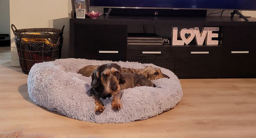 Customer photo review of CalmBed - Motverkar stress & hjälper mot ångest