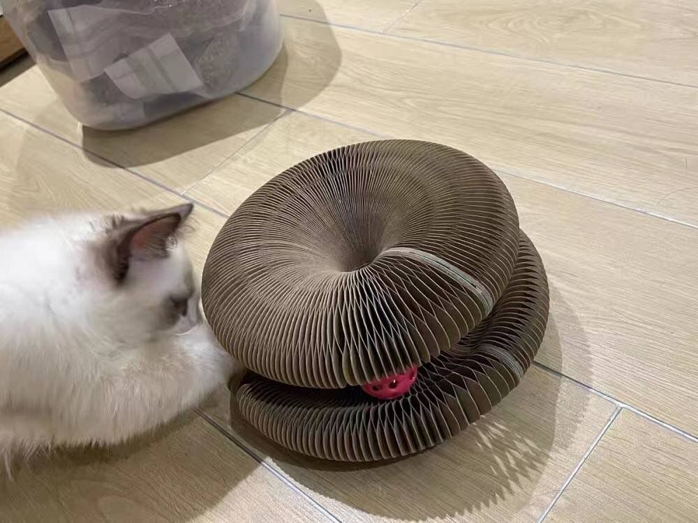 Customer photo review of Stretch It Magic Cardboard Toy