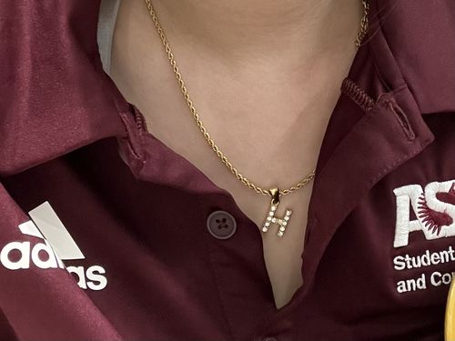 Customer photo review of CZ Letter Chain