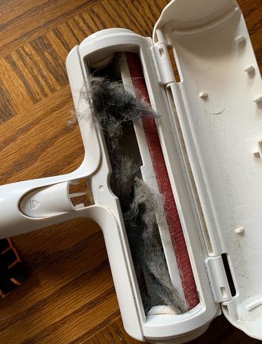 Customer photo review of Pet Hair Remover | Portable, Multi-Surface Lint Roller & Animal Fur Removal Tool