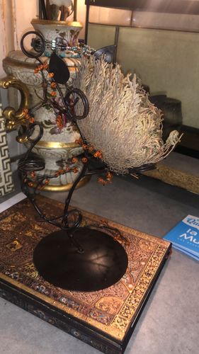 Customer photo review of نبات الحياة او نبات سيدنا الخضر - نبات طبيعي روحاني