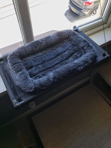 Customer photo review of Comfortable Bolster Pet Bed for Dogs & Cats | Ultra soft Synthetic fur