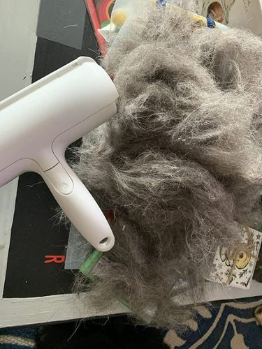 Customer photo review of Pet Hair Remover | Portable, Multi-Surface Lint Roller & Animal Fur Removal Tool