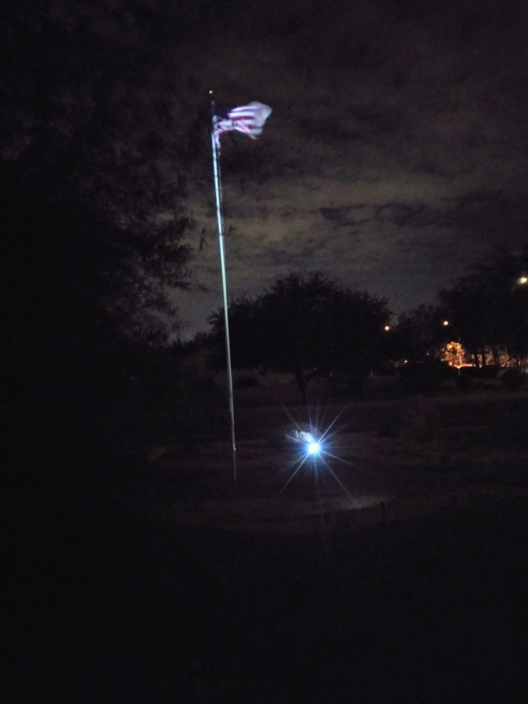 Customer photo review of TSUN White Solar Spot Lights with Separate