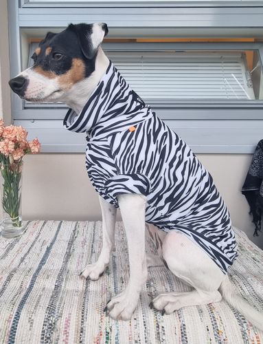 Customer photo review of UV & Bug Shirt - Repeltec for Dogs