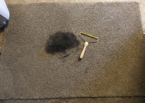 Customer photo review of Portable Lint Remover | Pet Hair Remover Brush