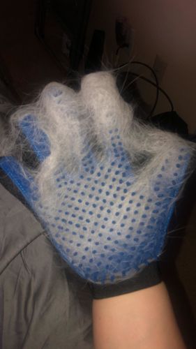 Customer photo review of Pet Grooming Glove - Gentle Deshedding Brush Glove