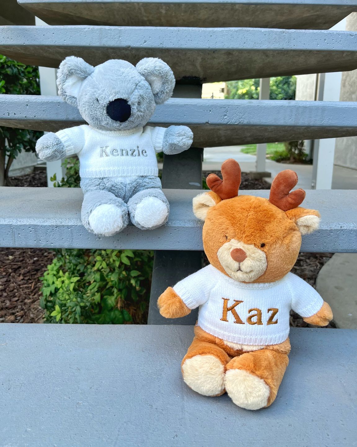 Customer photo review of Bradly the Lion - Jollyhugs™ Collection