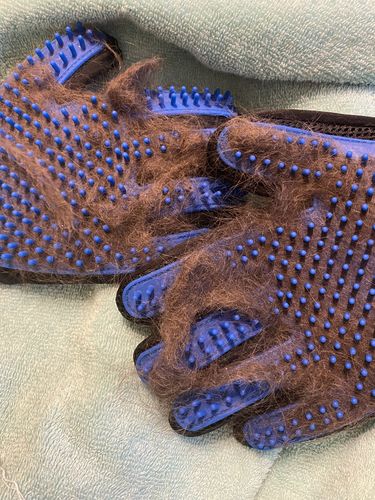 Customer photo review of Pet Grooming Glove - Gentle Deshedding Brush Glove