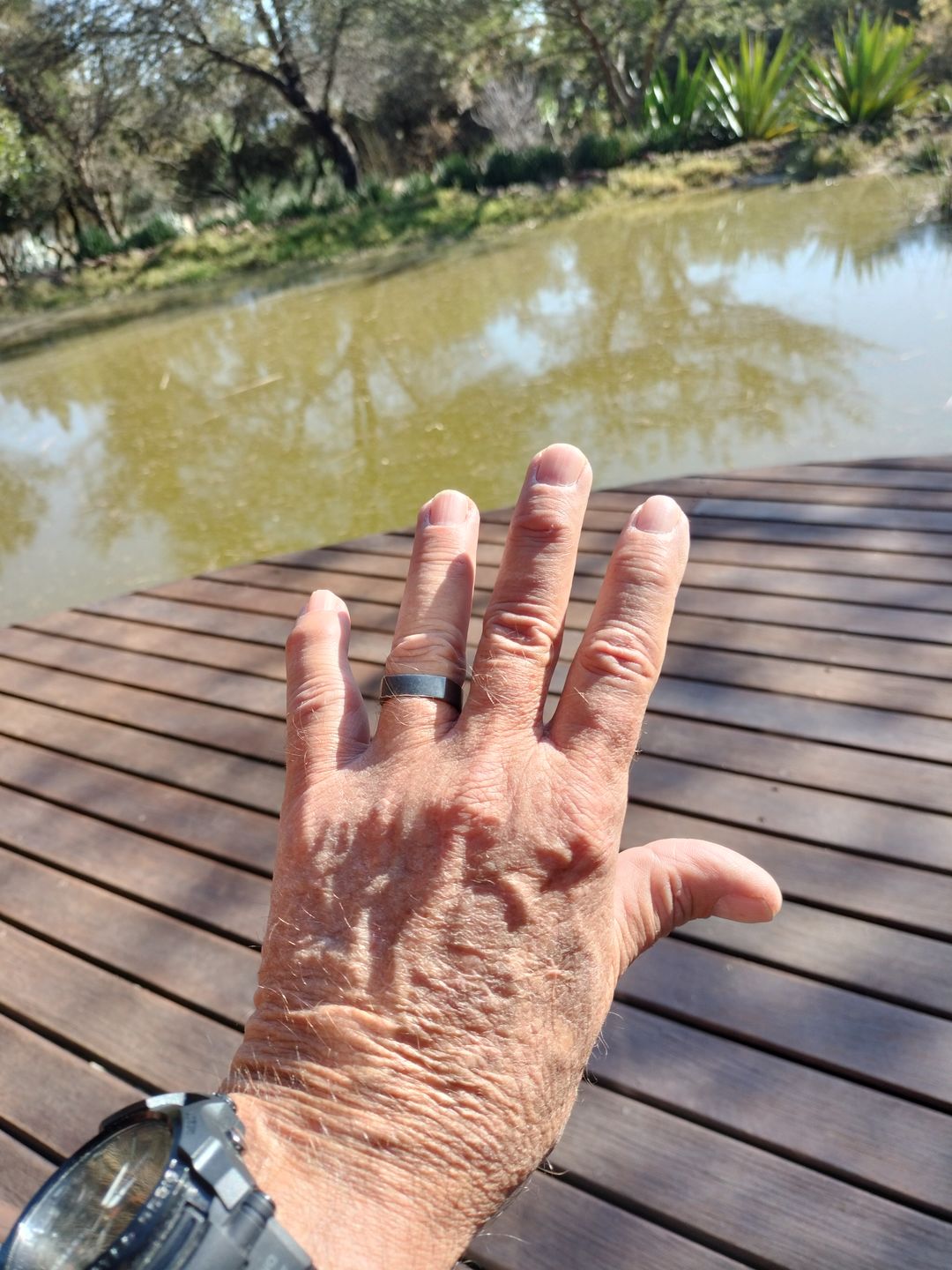 Customer photo review of Buy Joint Support, Get a Free Outback Oil 7-Day Pack