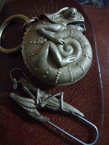 Customer photo review of Brass Praying Mantis Pin