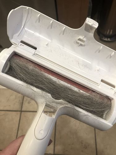 Customer photo review of Pet Hair Remover | Portable, Multi-Surface Lint Roller & Animal Fur Removal Tool
