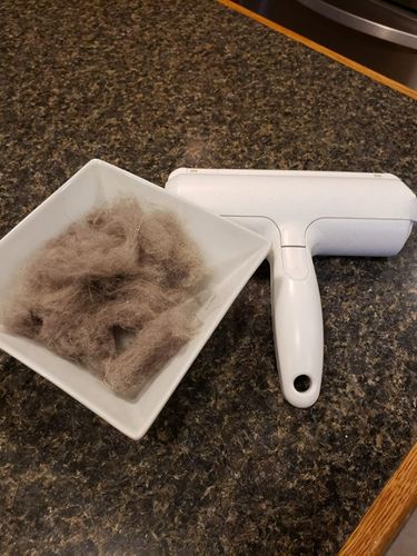 Customer photo review of Pet Hair Remover | Portable, Multi-Surface Lint Roller & Animal Fur Removal Tool