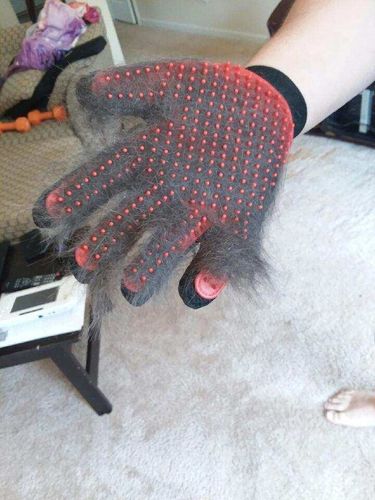 Customer photo review of Pet Grooming Glove - Gentle Deshedding Brush Glove