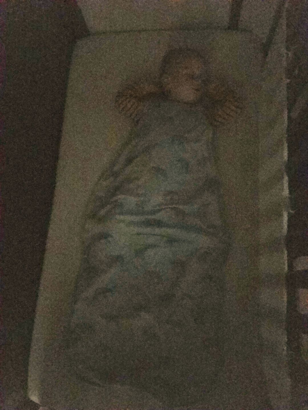 Customer photo review of Ecolino® Adjustable Toddler Sleep Bag, Organic Cotton, Universal Size: 2 - 4 Years, Elephant