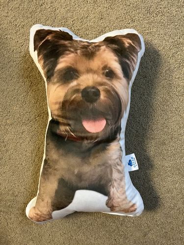 Customer photo review of Create A Custom Dog Pillow